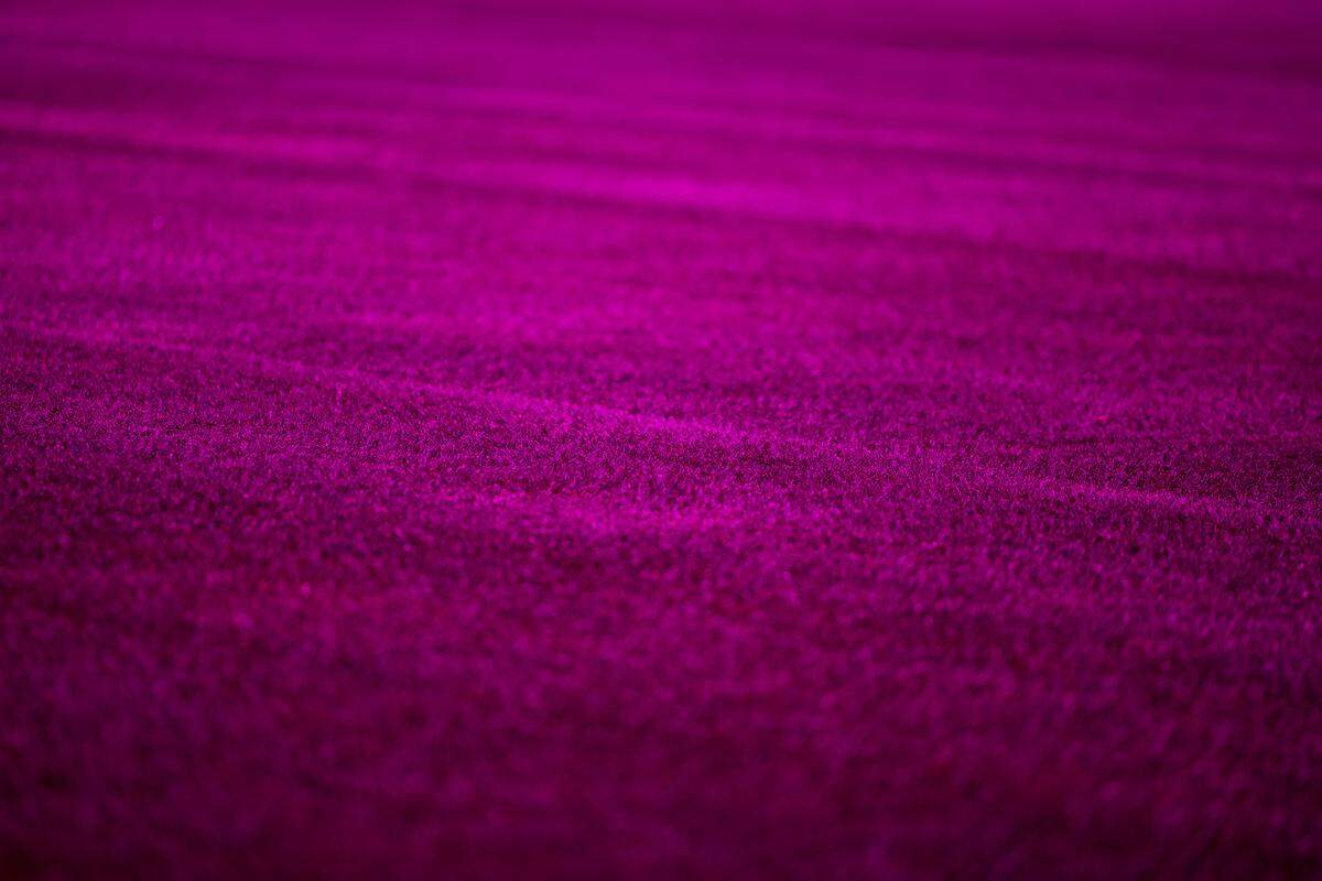 A mix of Kentucky bluegrass and rye grass is installed for FIFA World Cup 2026 on Thursday, May 14, 2026 in Arlington, Texas. The grass is illuminated by LED grow lights simulating sunlight to allow it to photosynthesize and grow quickly.