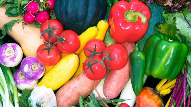 Want to grow a green thumb? Follow these guidelines when planting gardens in Texas.