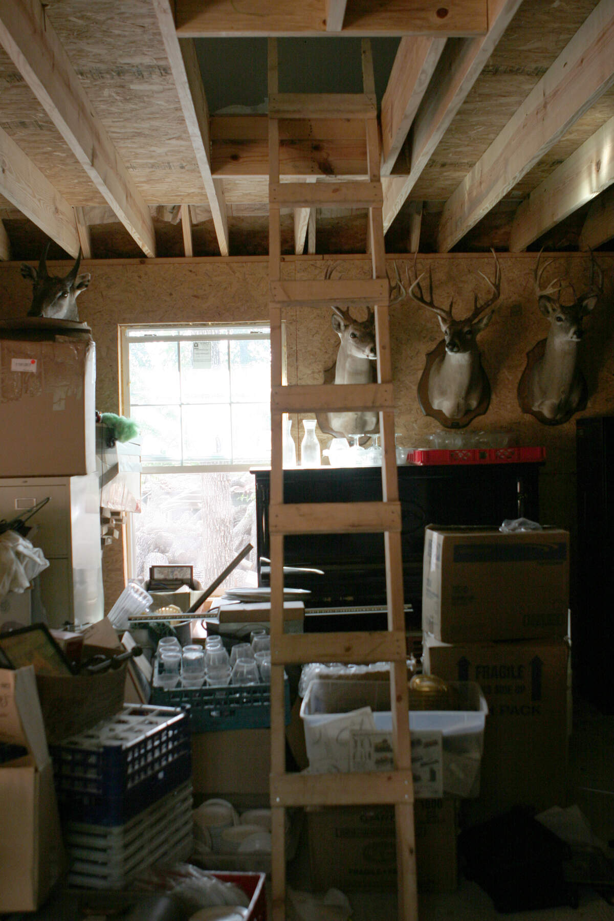A ladder leads to the loft of the shed where Amber Wyatt reported she was raped, in a 2006 evidence photo.