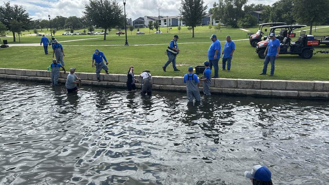 Massive fish kill results in restoration of wildlife at popular North Texas lake