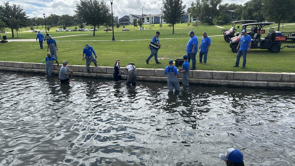 Workers and volunteers helped plant 370 native aquatic plants at Bedford Boys Ranch Lake to help rebuild the lake’s ecosystem after several fish died last year due to a spike in chlorine levels from an unknown source.