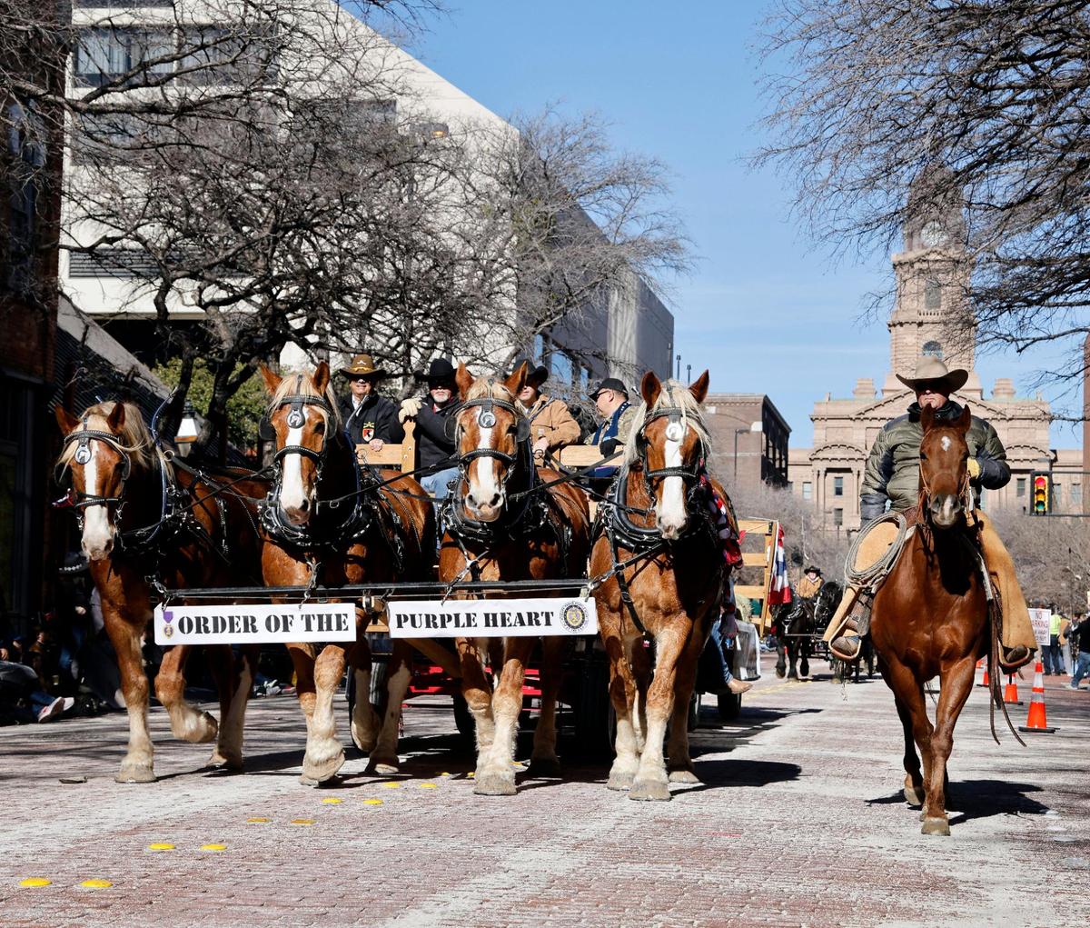 The horse team from Order of the Purple Heart makes its way down Main Street.