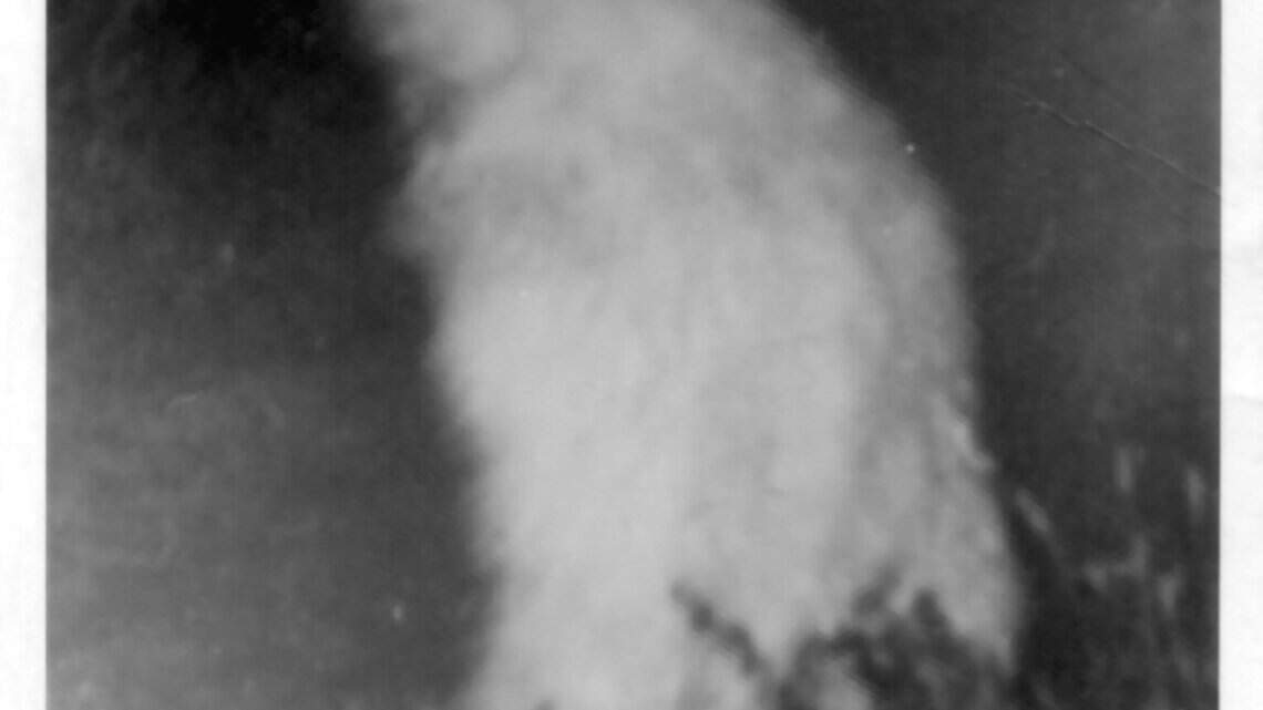Remember the Lake Worth Monster? All about Fort Worth's summer of 1969 legend
