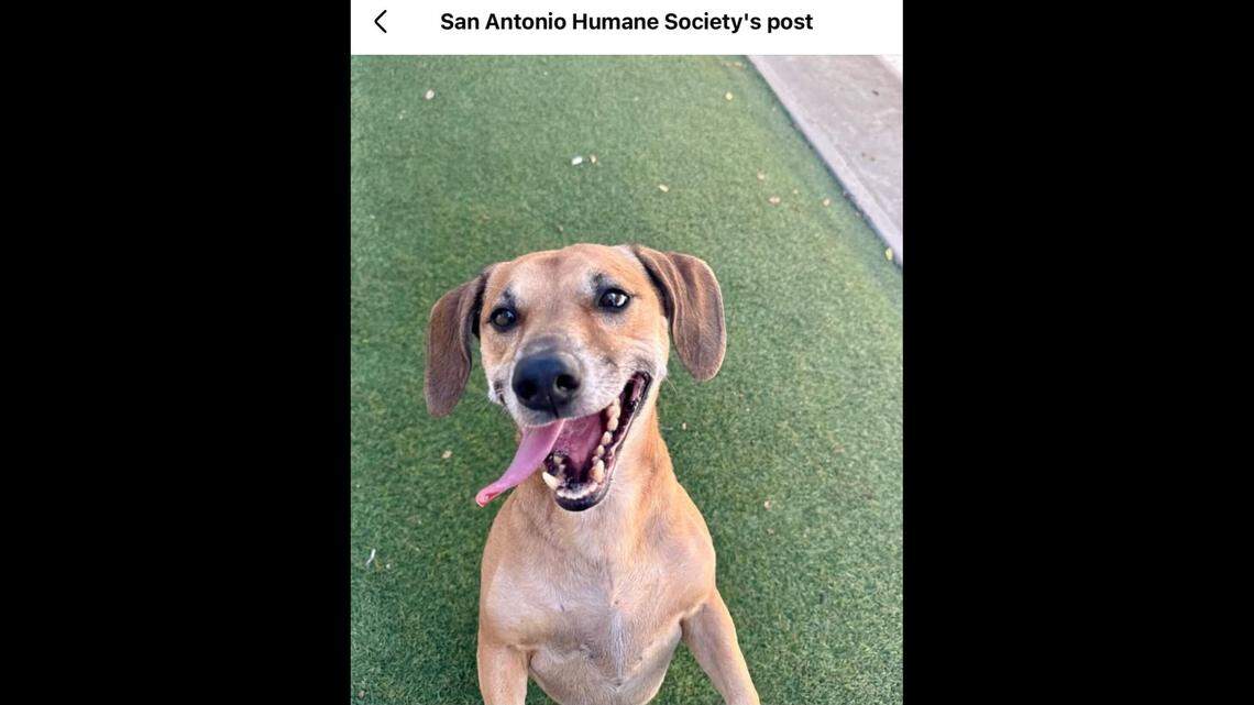 Colby Jack is known for his infectious smile.