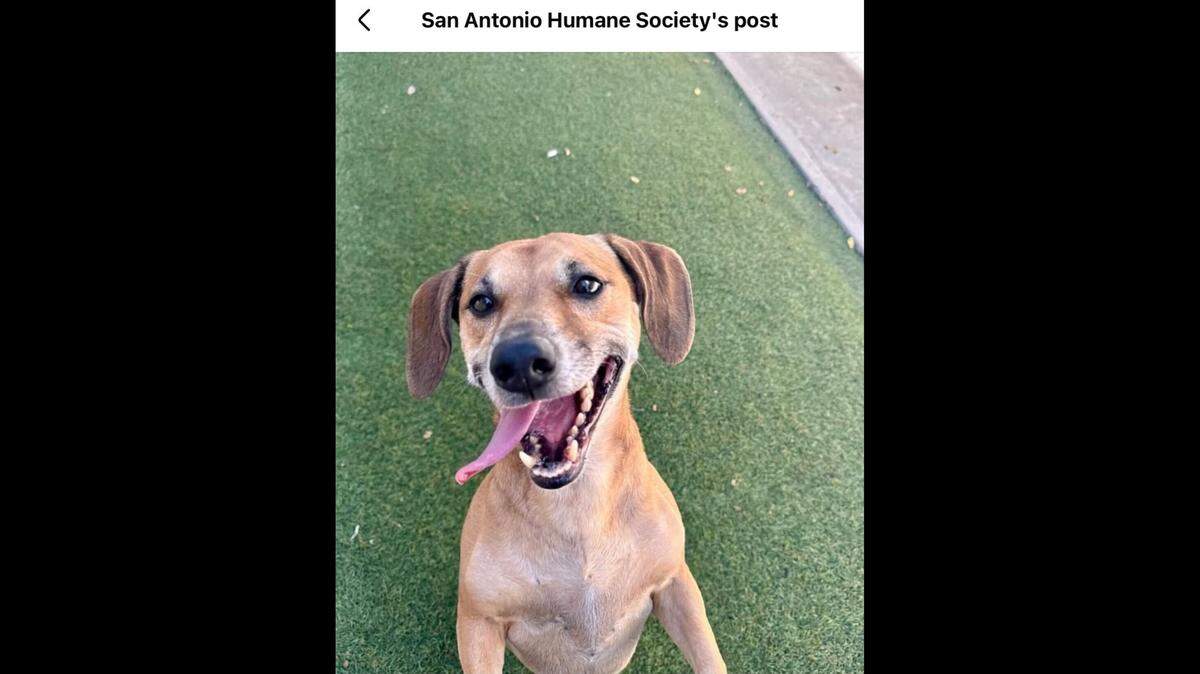 Colby Jack is known for his infectious smile.