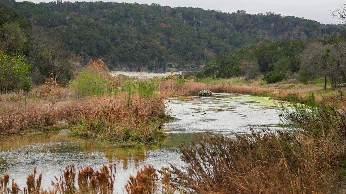 A species of invasive fish was recently caught in the South Fork San Gabriel River in Texas, officials said.