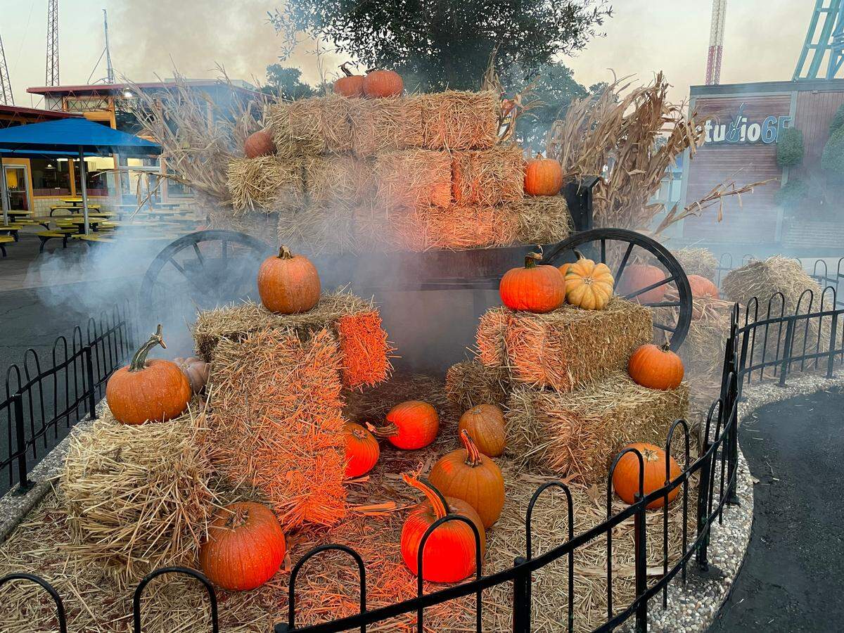 Fright Fest is now open at Six Flags Over Texas in Arlington.