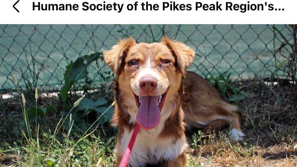 Happy Bailey getting a relaxing moment in.