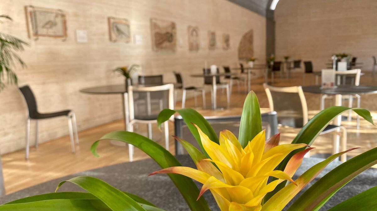 The Kimbell Cafe has reopened after the coronavirus break.