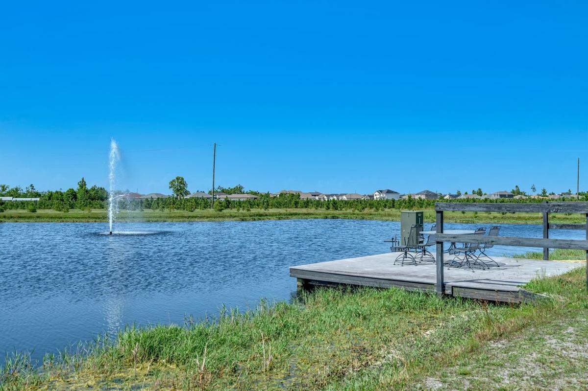 Pond