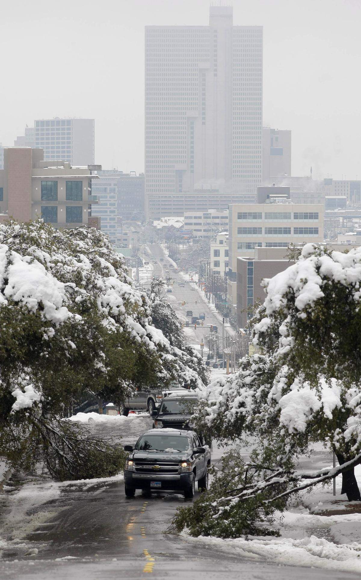 A car detours around a limb that snapped from the weight of snow on West 7th Street, Friday, February 12, 2010.