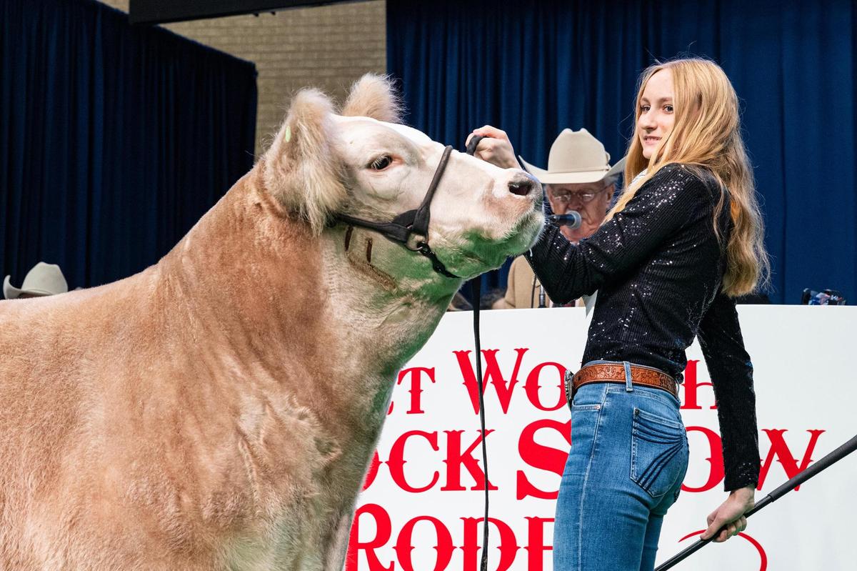 La Vernia resident Mattison Koepp, 16, brings her grand champion steer Alley Cat on to the auction stage for the Auction of Champions for the Fort Worth Stock Show & Rodeo in the Wyatt Arena on Saturday, Feb. 8. 2025. Alley Cat was sold for $375,000 to Shane Vaden of Vaden’s Drywall, Plaster and Masonry.