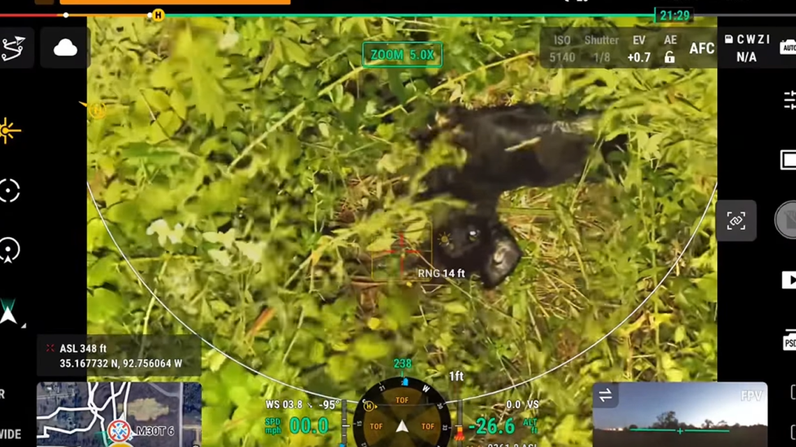 Whiskey was spotted by the drone.