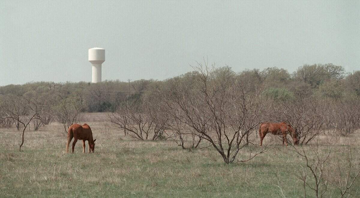 March 25, 1999: View of rural land in Southlake, looking west, on North White Chapel Boulevard just south of Bob Jones Road.