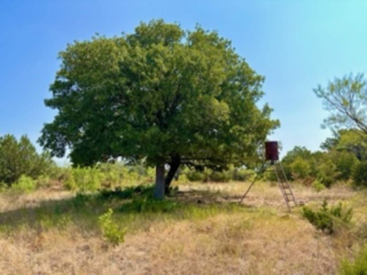 The ranch has been in David Weidner’s family since the Great Depression. 