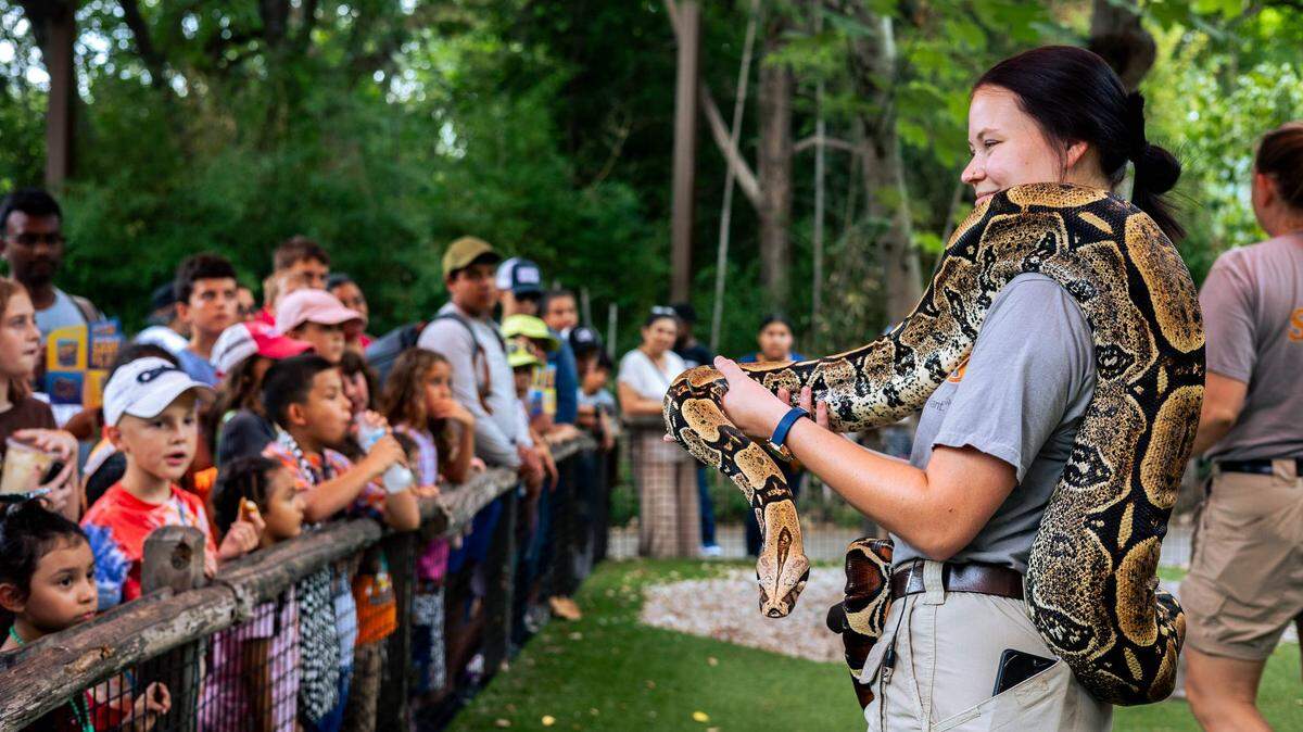 Dallas Zoo offers $1 admission days during summer. For 2024, you can go for a buck on July 18 or August 6.
