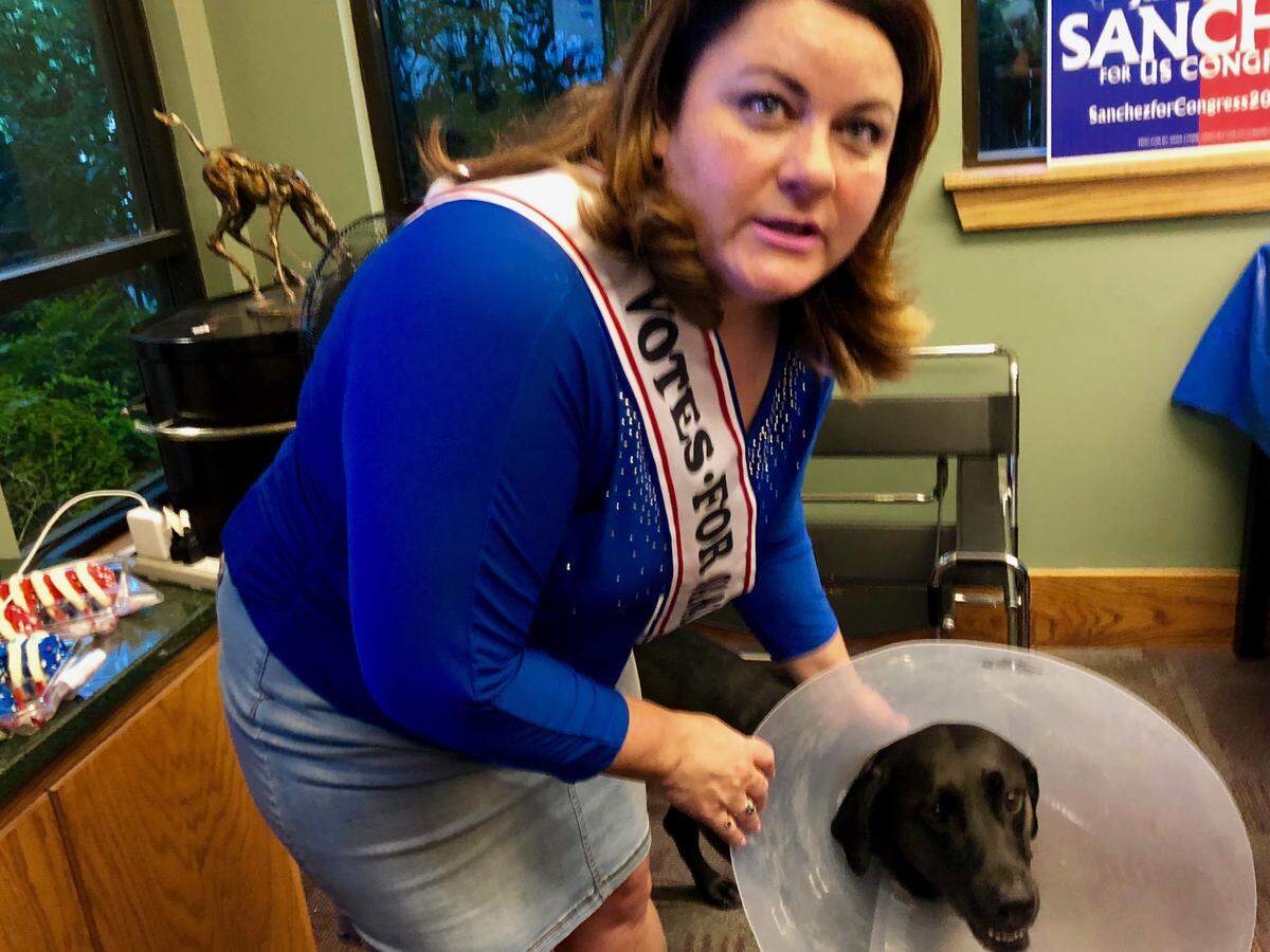 Waxahachie Democrat Jana Sanchez brought her dog, Jojo, to campaign headquarters. He's being treated for a hurt paw.