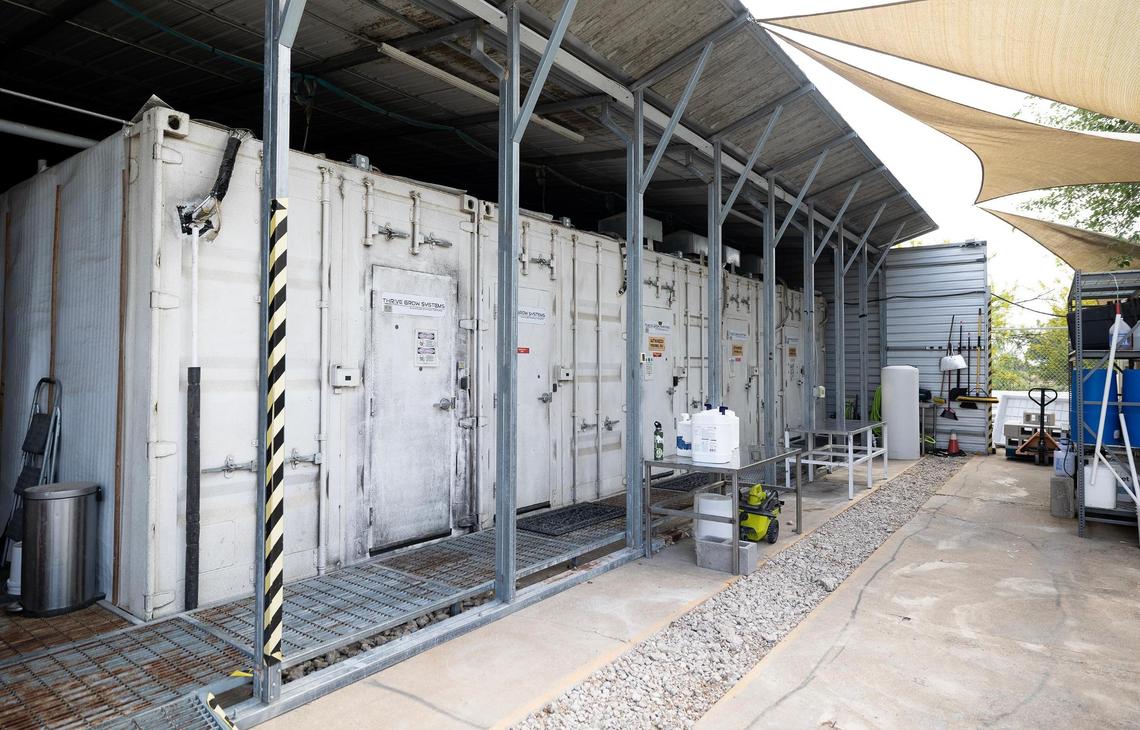 Goodblend in Austin on Thursday, May 1, 2025. Goodblend is one of three licensed medical marijuana dispensaries.