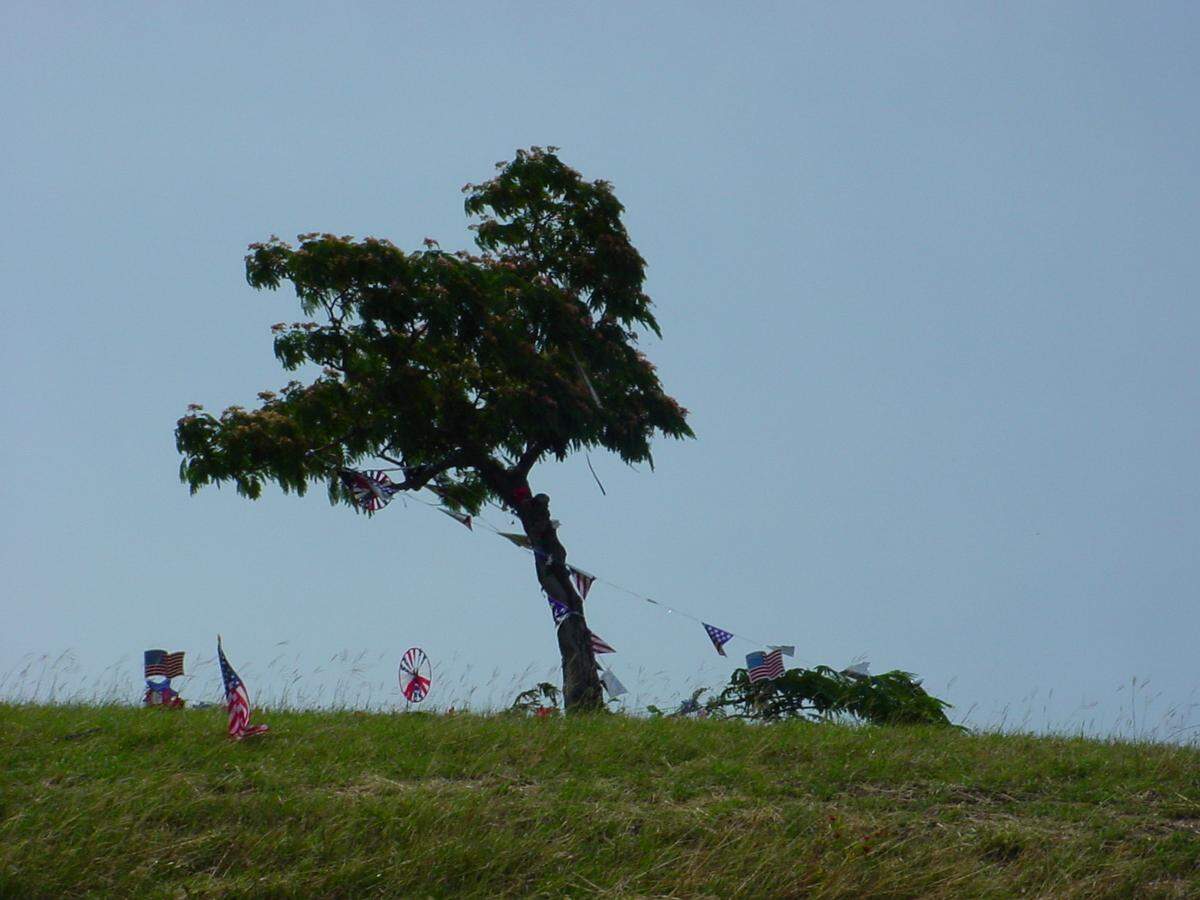 Fort Worth’s Homeless Christmas Tree along Interstate 30, before it was removed.