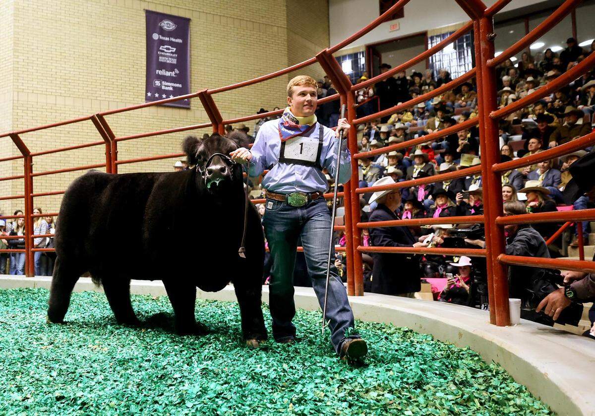 Tristan Himes and his black cross Steve broke the Fort Worth Stock Show & Rodeo auction record for the Grand Champion Steer on Saturday, selling for $310,000.