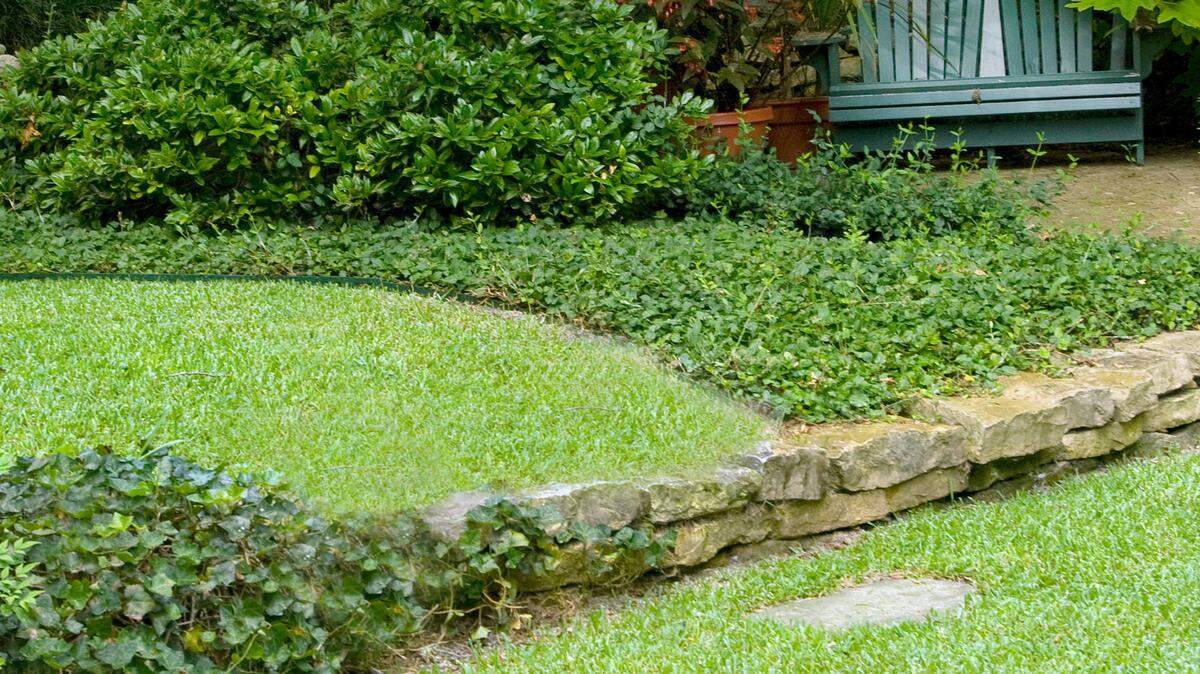 A lush lawn provides the foundation to a beautiful landscape in North Texas.