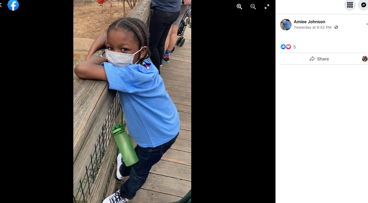 JoJo Dunn, 8, was hit by a pickup truck while he was riding his bicycle on Saturday during a hit-and-run. His mother demanded a swift arrest of the person suspected of driving the truck.