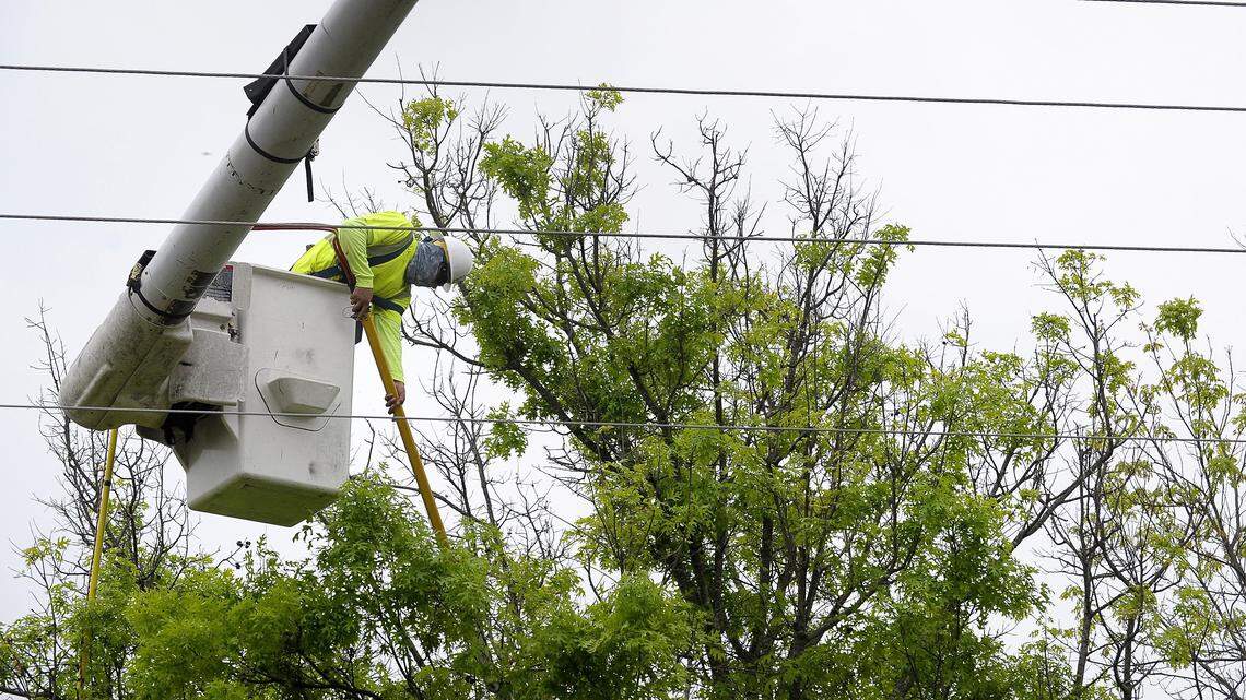 Katy Ehrhart said the landscape around her home outside of Aledo is being ruined in Annetta, TX, Tuesday, March 28, 2017. Oncor has hired contractors to cut back trees from power lines but Ehrhart said they are going too far. "I just think it's really disgusting,' Ehrhart said. "They're ruining the landscape out here."