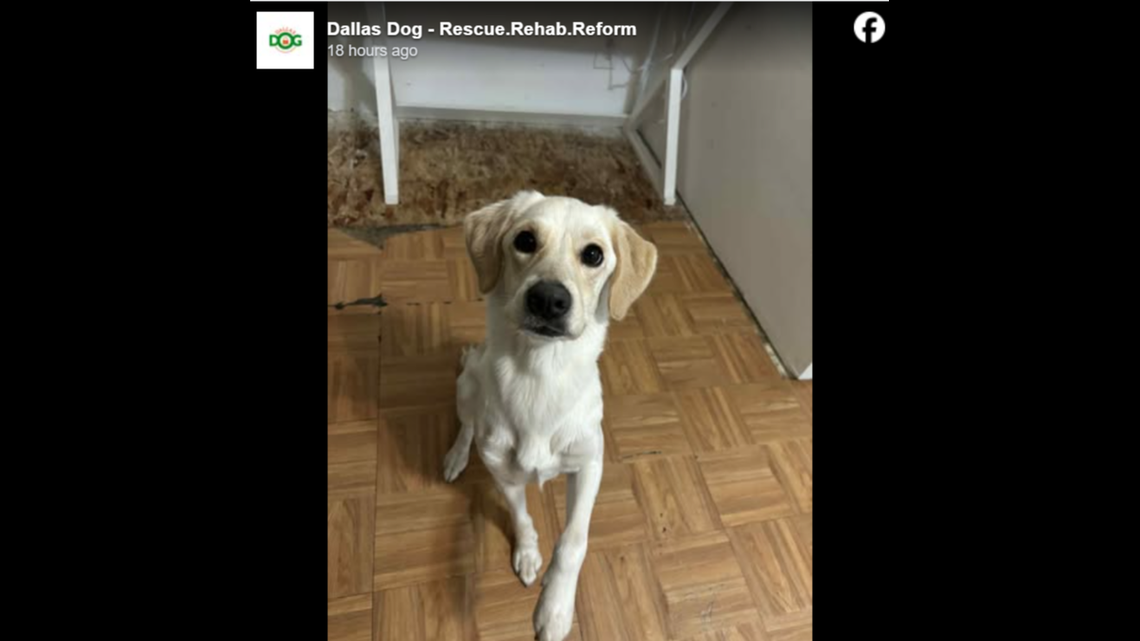 The angelic looking Lily