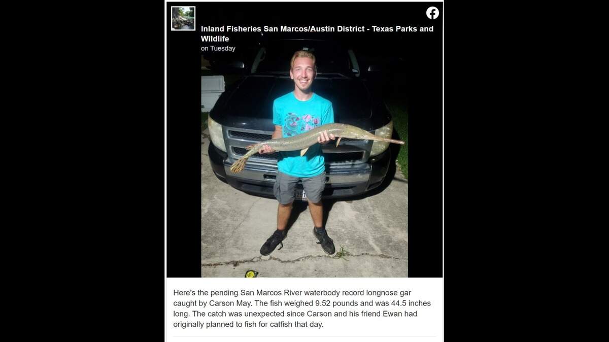 Carson May reeled in a 44.5-inch longnose gar, potentially breaking a waterbody record