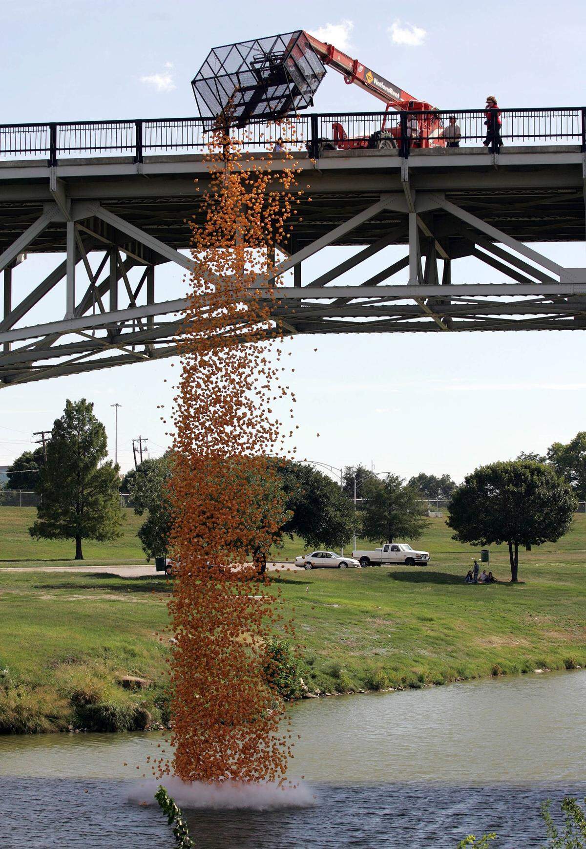 Oct. 1, 2006: Thousands of rubber ducks were dumped into the Trinity River as part of the Girl Scouts and Circle T Council Inc. Duck Day on the Trinity.