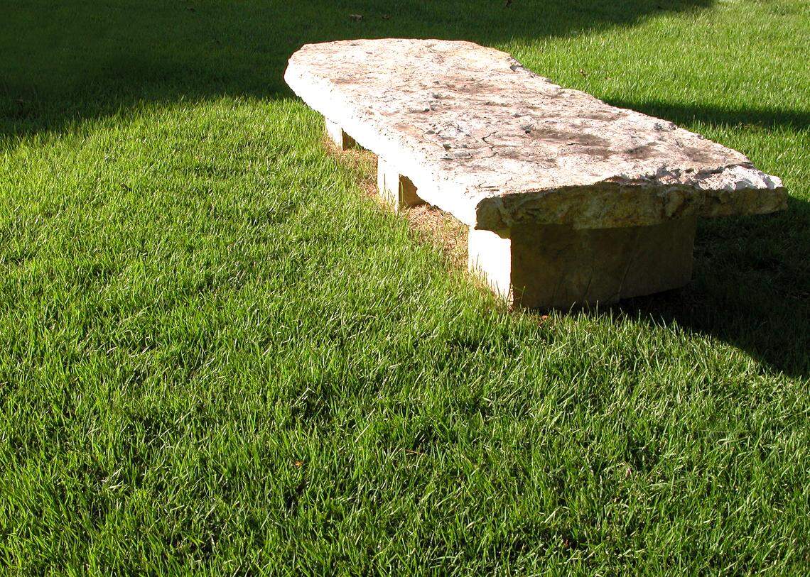 All types of turf, zoysia included, need all-nitrogen fertilizer.