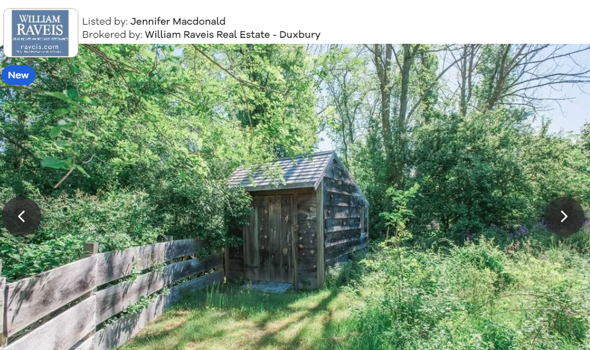 Back shed