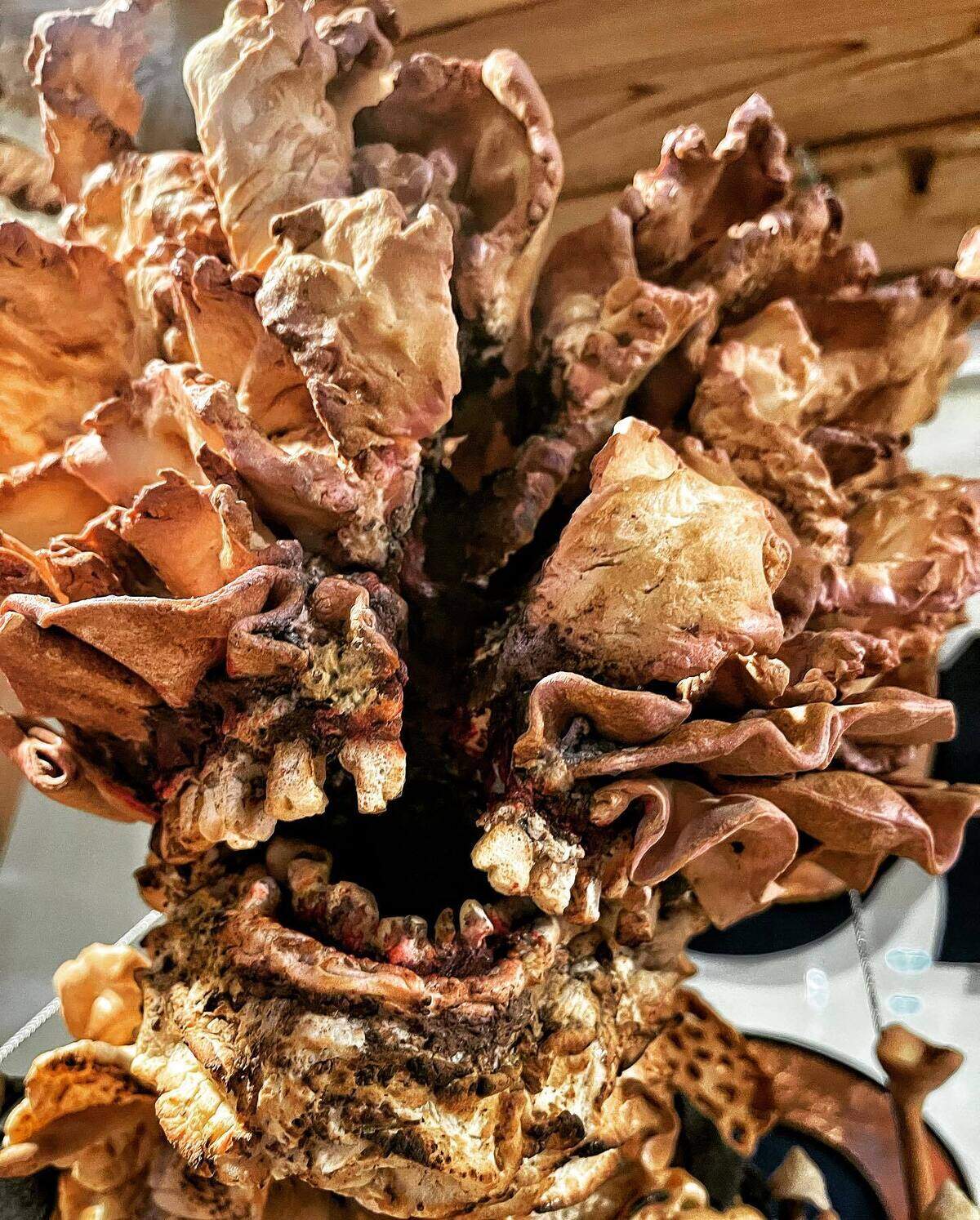 The creature comes alive.