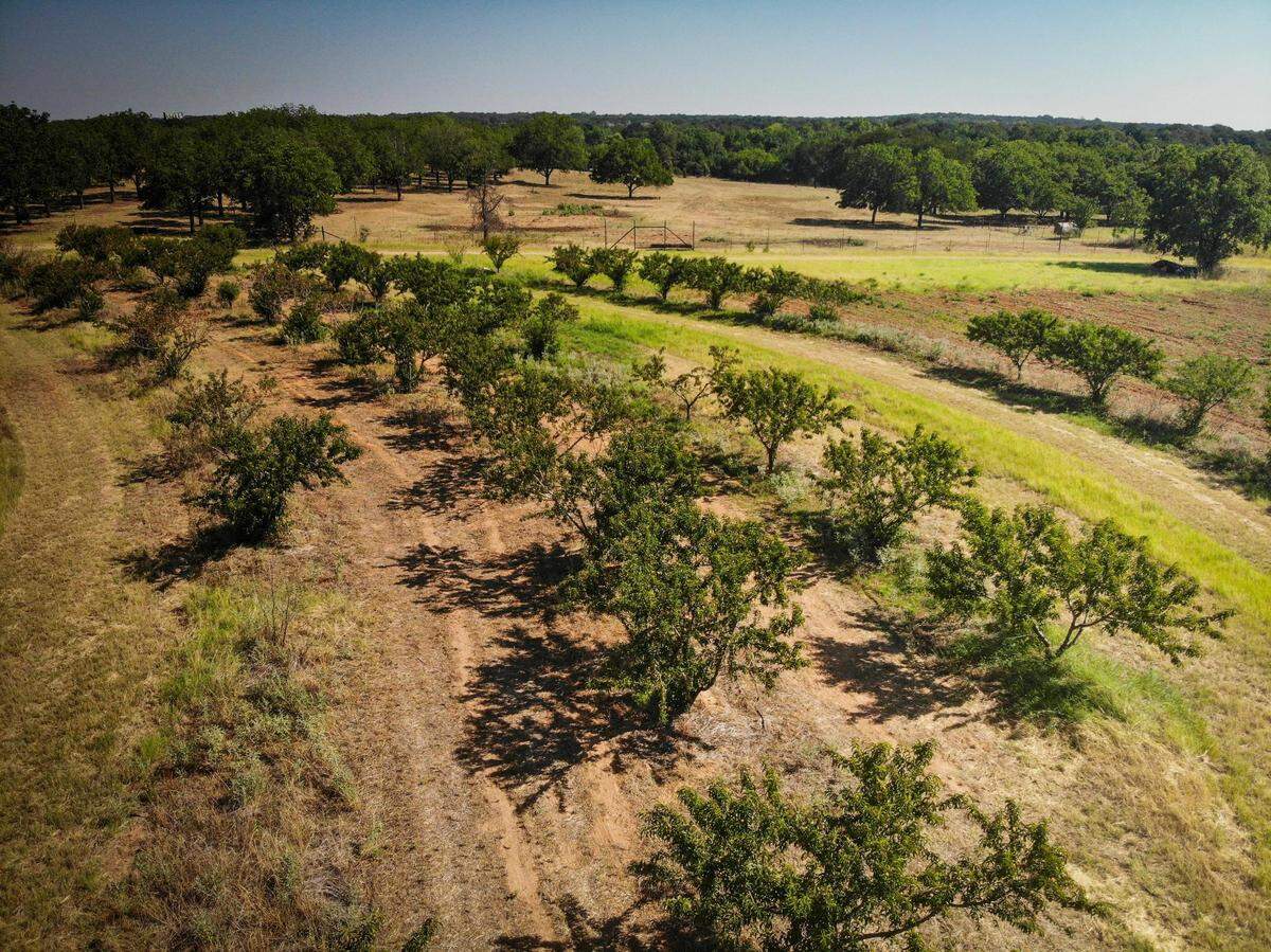 The growing season is underway at the Hutton Peach Farm Thursday, June 30, 2022, in Weatherford.