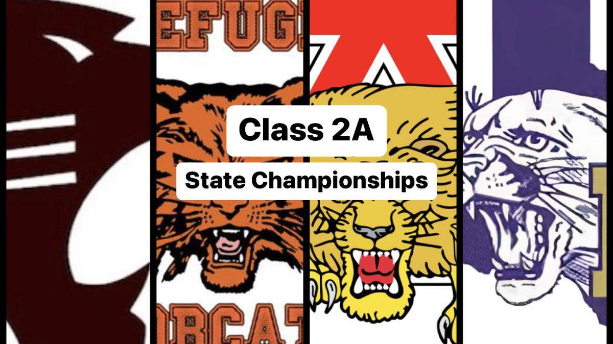 Hawley, Refugio, Albany and Mart will be going for Class 2A state titles this week.