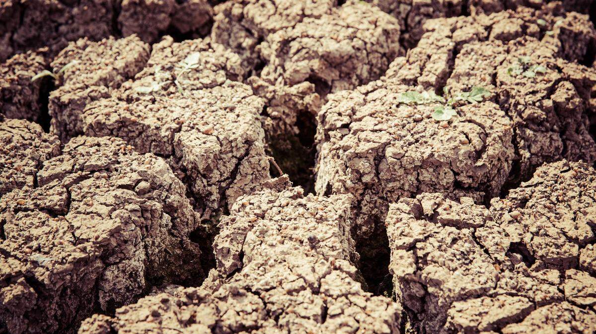 Dry ground.