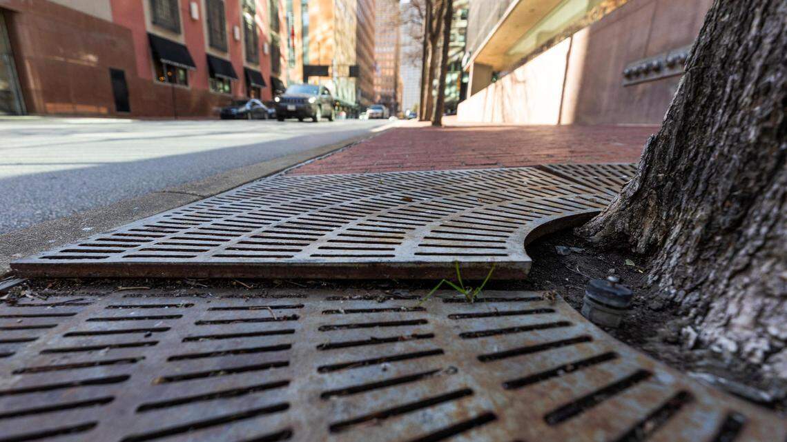 A grate around a tree along 7th Street in downtown Fort Worth.