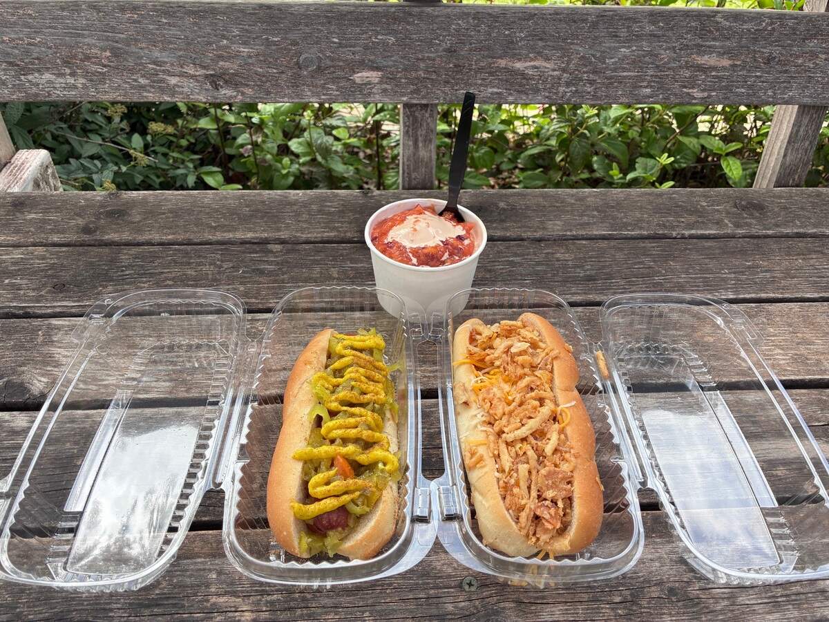 Two hot dogs on a park bench, with a bowl of frozen custard in the middle.