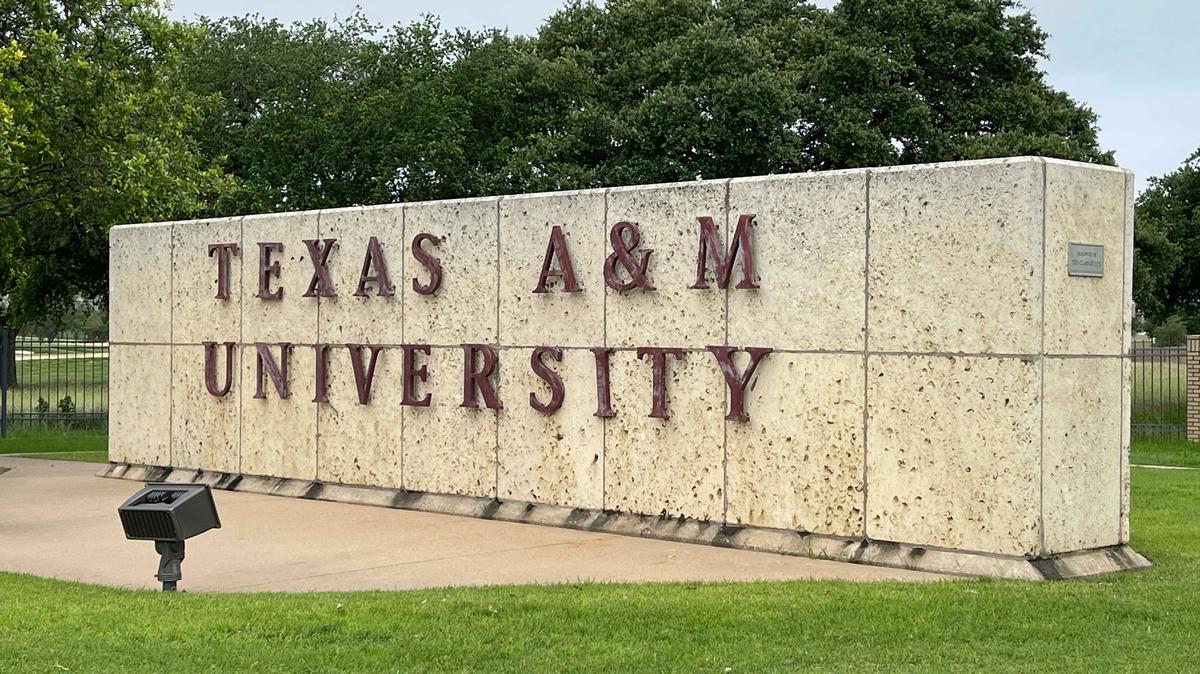 Texas A&M University released an internal report on the botched hiring of Kathleen McElroy and the investigation of professor Joy Alonzo.