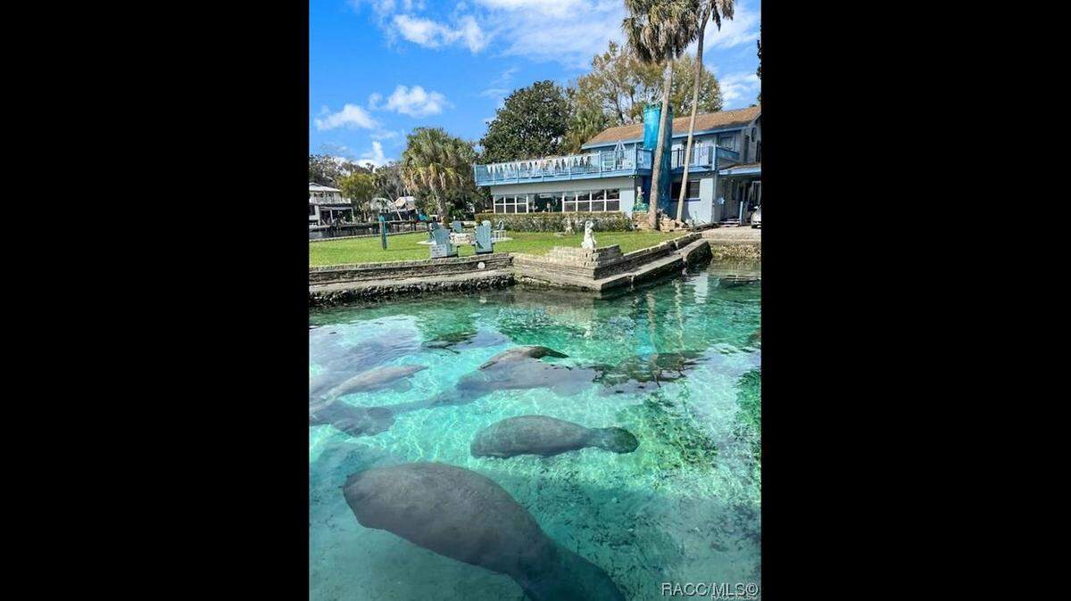 The manatee lagoon