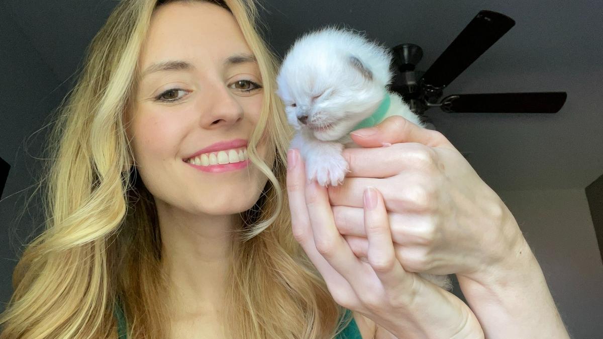 Pearl Frazier, a Fort Worth mom, has 12 cats and more than a million TikTok followers.