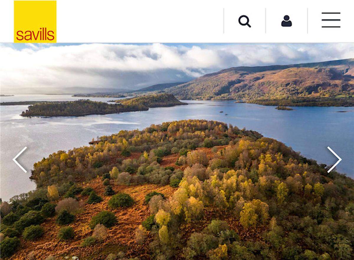 Inchlonaig Island