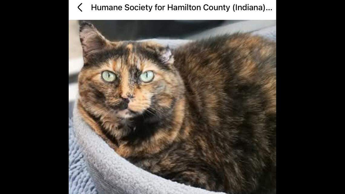 Kiki, being perfectly content.