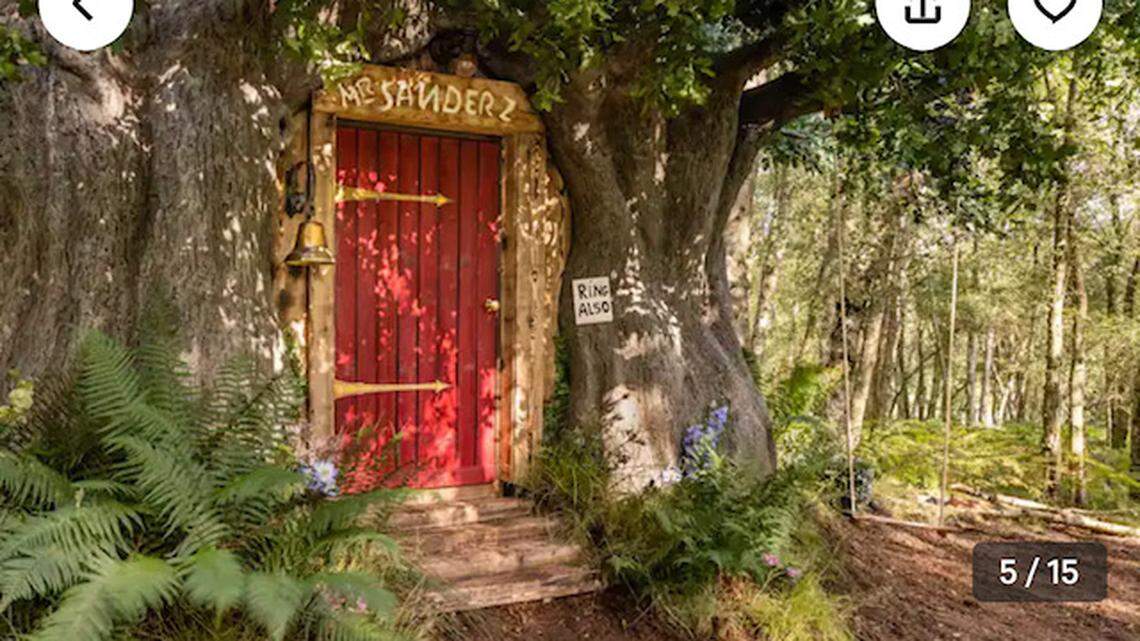 A “Winnie the Pooh” themed rental will soon be available on Airbnb in England.