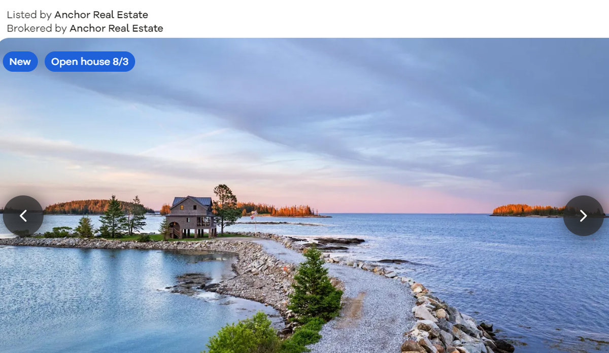 Mouse Island