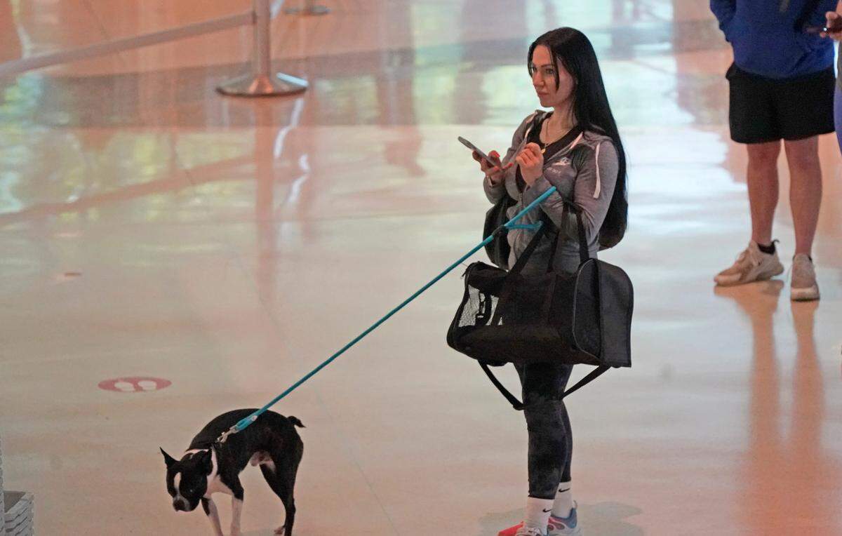 Los requisitos para viajar con mascota o animal de servicio dependen del país de destino y de las normas de la compañía aérea.