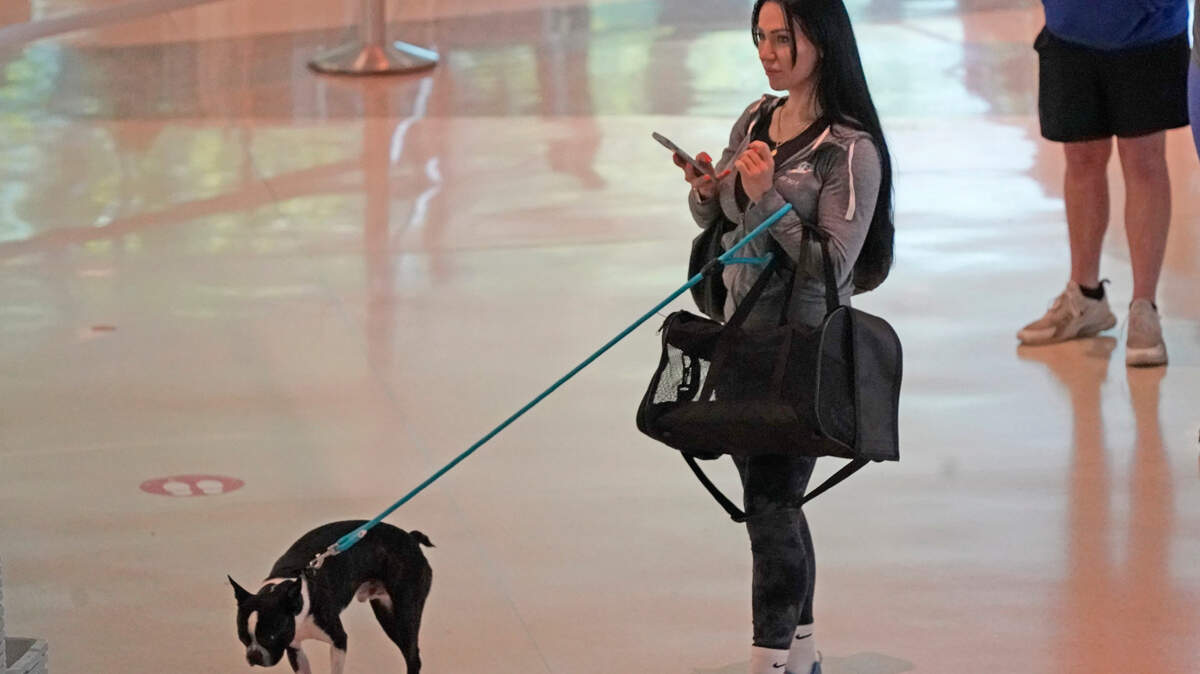 A maskless traveler and her pet wait to clear Transportation Security Administration security at Love Field in Dallas, Tuesday, April 19, 2022. A federal judge’s decision to strike down a national mask mandate was met with cheers on some airplanes but also concern about whether it’s too soon to end the mask restriction.
