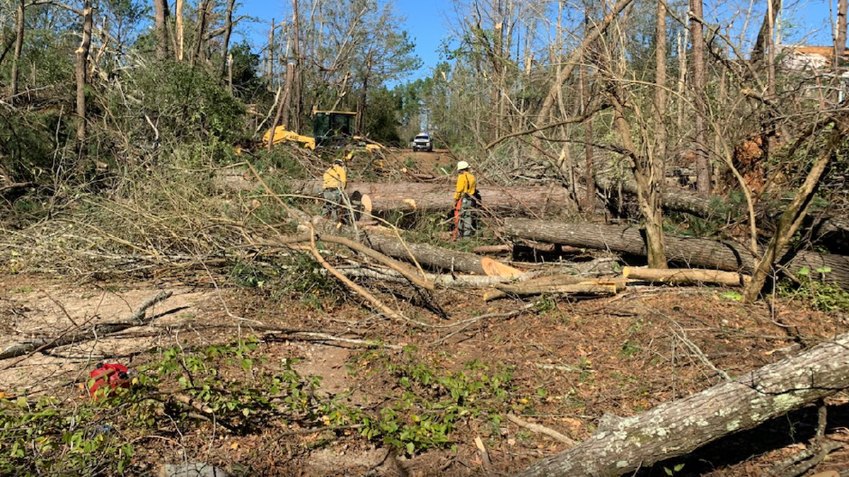 Damaged assessment by the Texas A&M Forest Service.