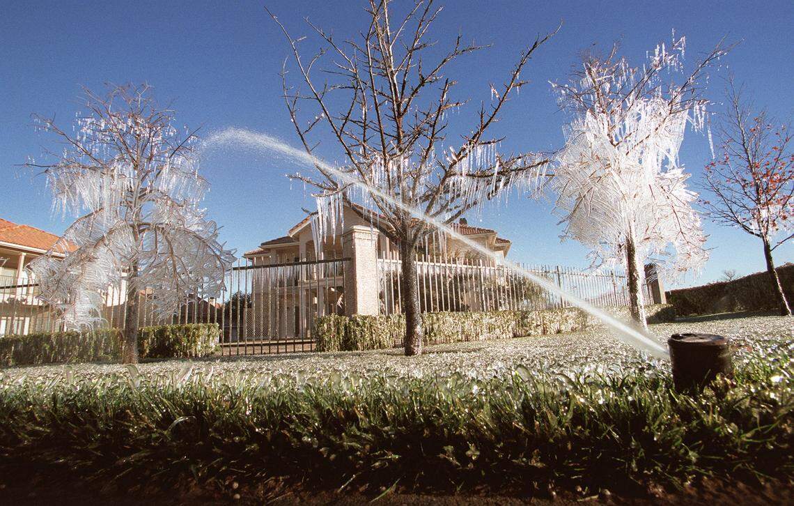 A sprinkler that ran overnight during below-freezing temperatures coated a fence, bushes, grass and trees at the St. Andrews at River Park apartments in Arlington with a thick layer of ice on Jan. 5, 2000.