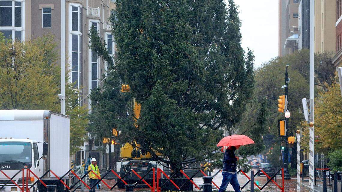 A crew works to stabilize the 2022 Ft Worth Christmas Tree in Sundance Square Plaza on Monday, November 14, 2022, in downtown Fort Worth.